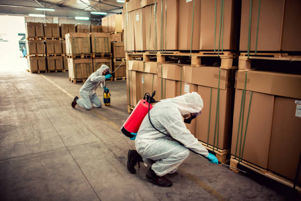 Best Termite Control Services  in Brewton, AL