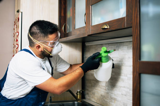 Best Wasp Removal Services  in Brewton, AL