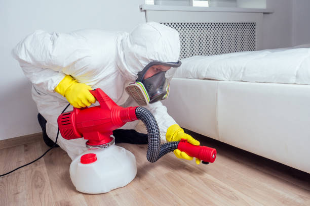 Reliable Brewton, AL Pest Control Solutions