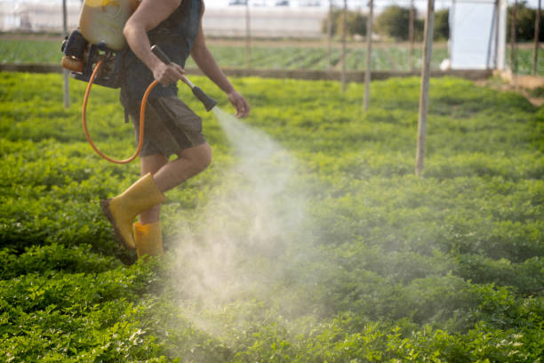 Best Local Pest Control Services  in Brewton, AL