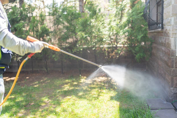 Best Wasp Removal Services  in Brewton, AL