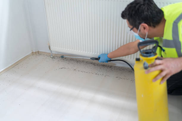 Best Best Pest Control Companies  in Brewton, AL